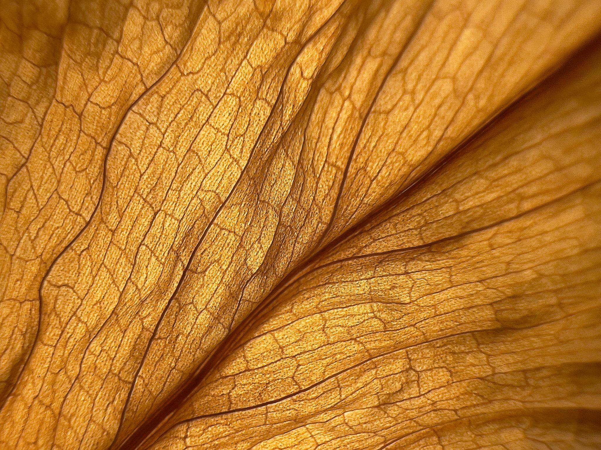 Trockenes Blatt